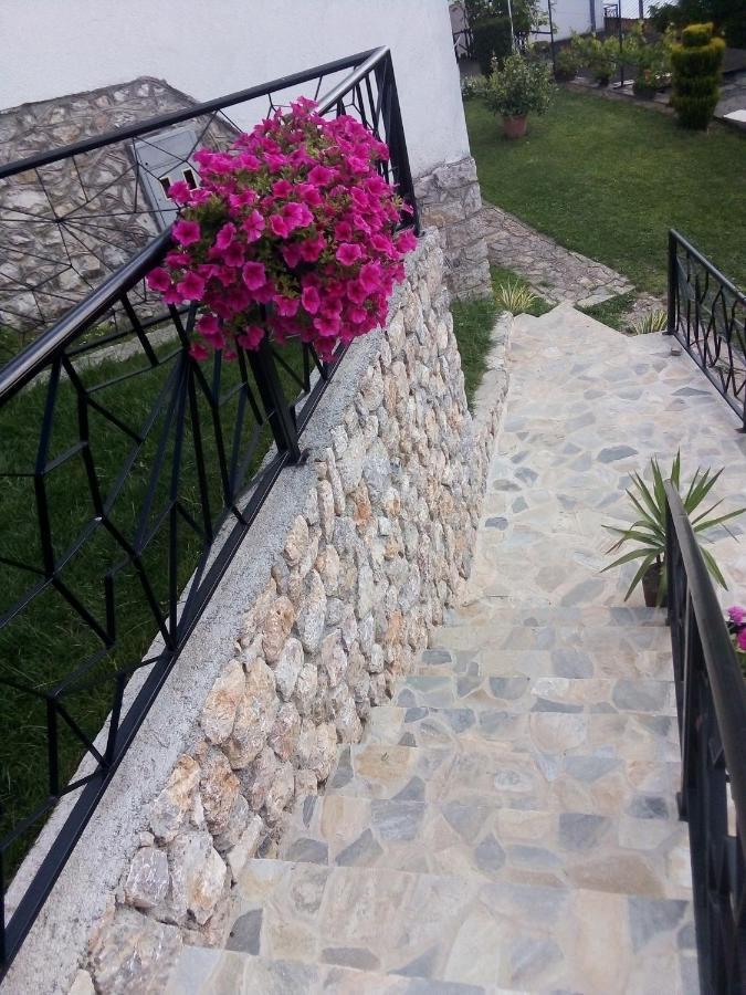 Guest House Stevovski Elshani Exterior photo
