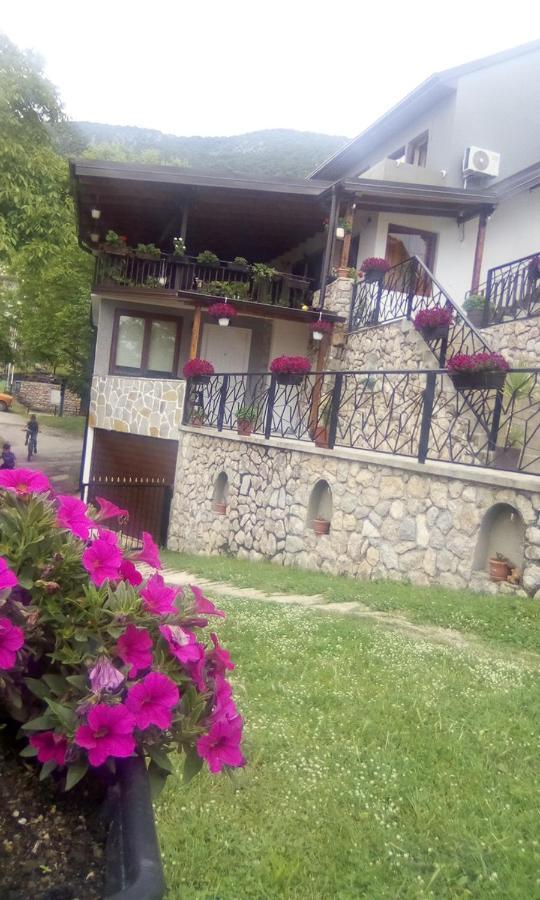 Guest House Stevovski Elshani Exterior photo