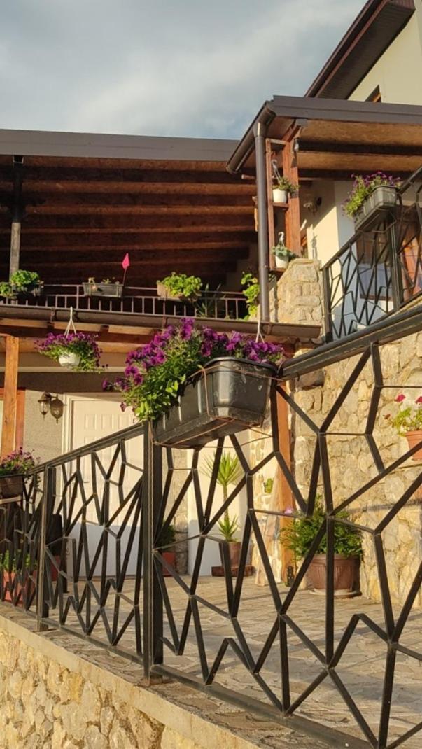 Guest House Stevovski Elshani Exterior photo