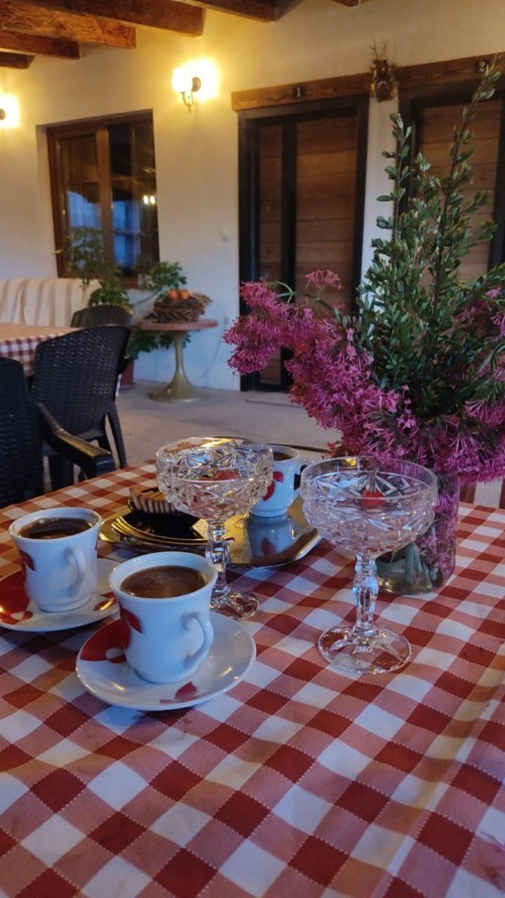 Guest House Stevovski Elshani Exterior photo